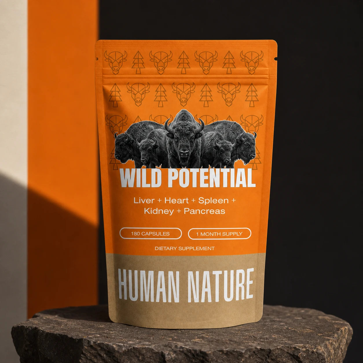 Wild Potential pouch standing on dark prairie stone against orange, black and bone fields